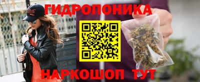 гидра Краснокаменск
