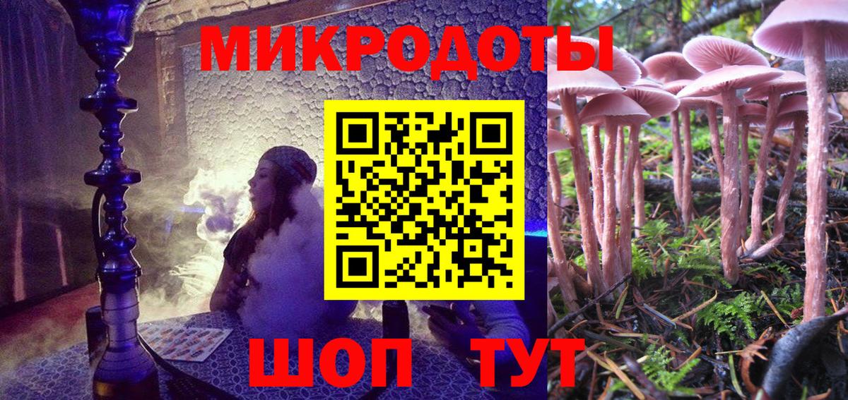 Псилоцибиновые грибы Psilocybe Еманжелинск